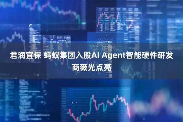 君润宜保 蚂蚁集团入股AI Agent智能硬件研发商薇光点亮