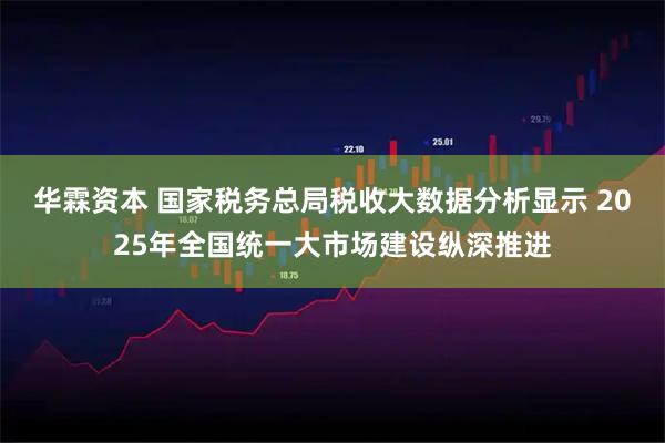 华霖资本 国家税务总局税收大数据分析显示 2025年全国统一大市场建设纵深推进