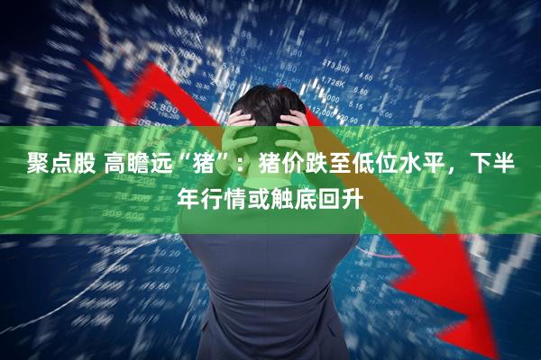聚点股 高瞻远“猪”：猪价跌至低位水平，下半年行情或触底回升