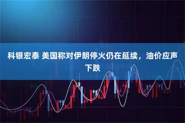 科银宏泰 美国称对伊朗停火仍在延续，油价应声下跌