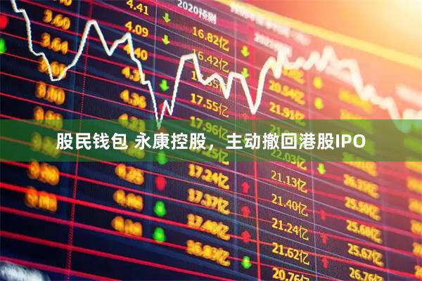 股民钱包 永康控股，主动撤回港股IPO