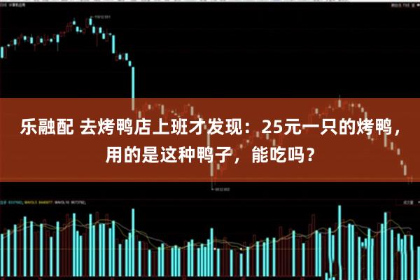 乐融配 去烤鸭店上班才发现：25元一只的烤鸭，用的是这种鸭子，能吃吗？