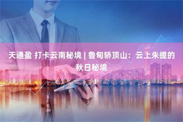 天通盈 打卡云南秘境 | 鲁甸轿顶山：云上朱提的秋日秘境